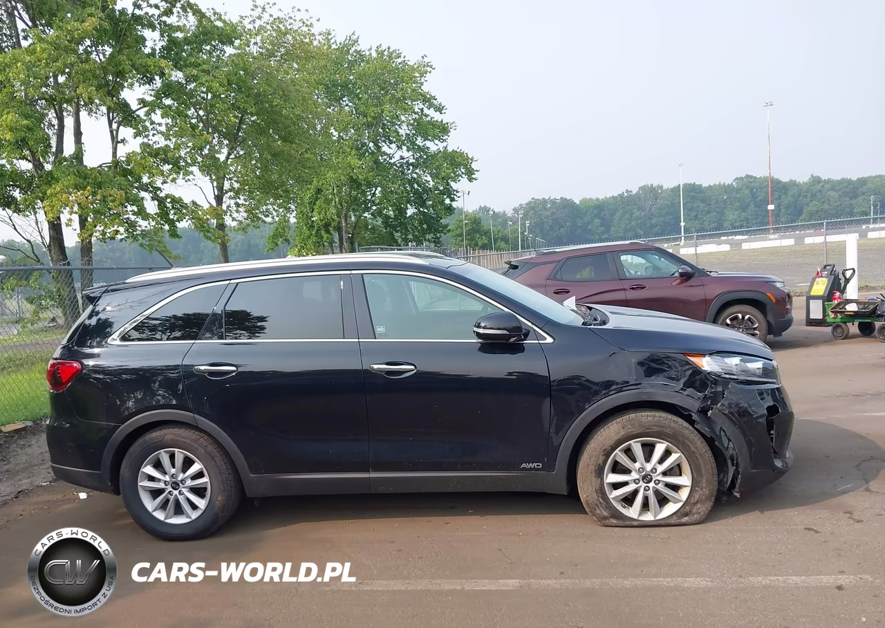 2020 Kia Sorento 2.4L Lx VIN:5XYPGDA36LG641517 - 13