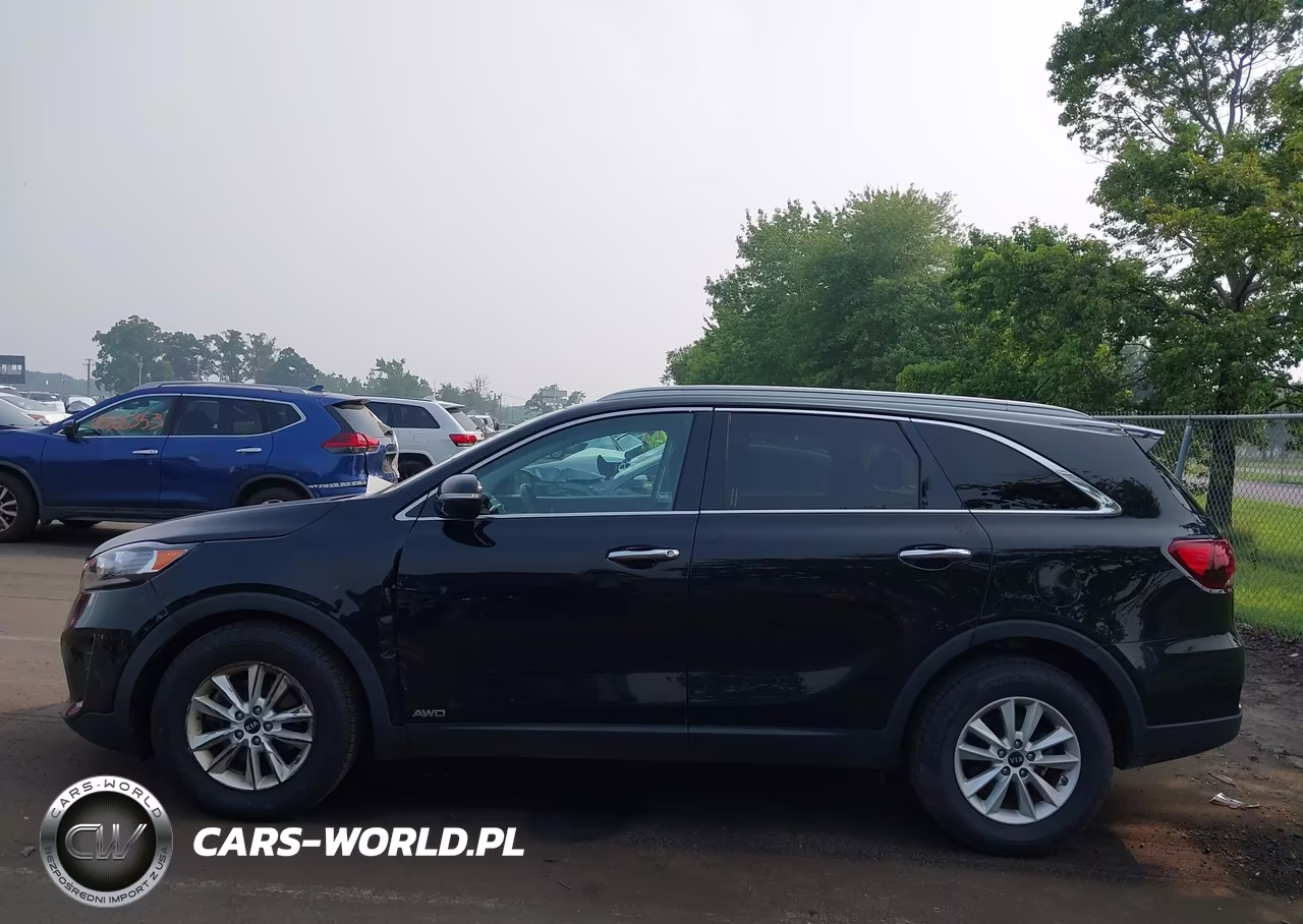 2020 Kia Sorento 2.4L Lx VIN:5XYPGDA36LG641517 - 14