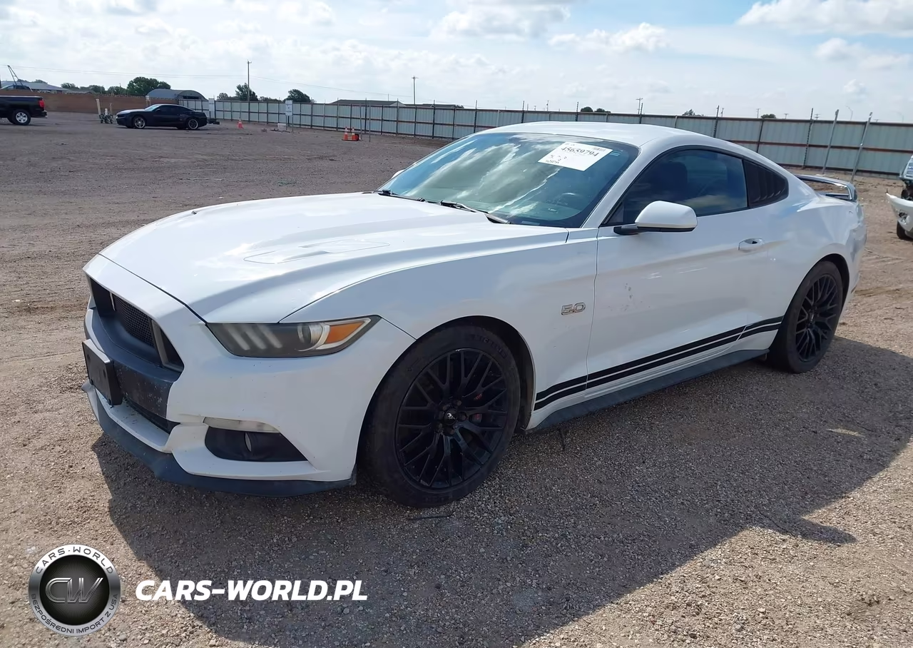 2016 Ford Mustang Gt VIN:1FA6P8CF0G5260356 - 2