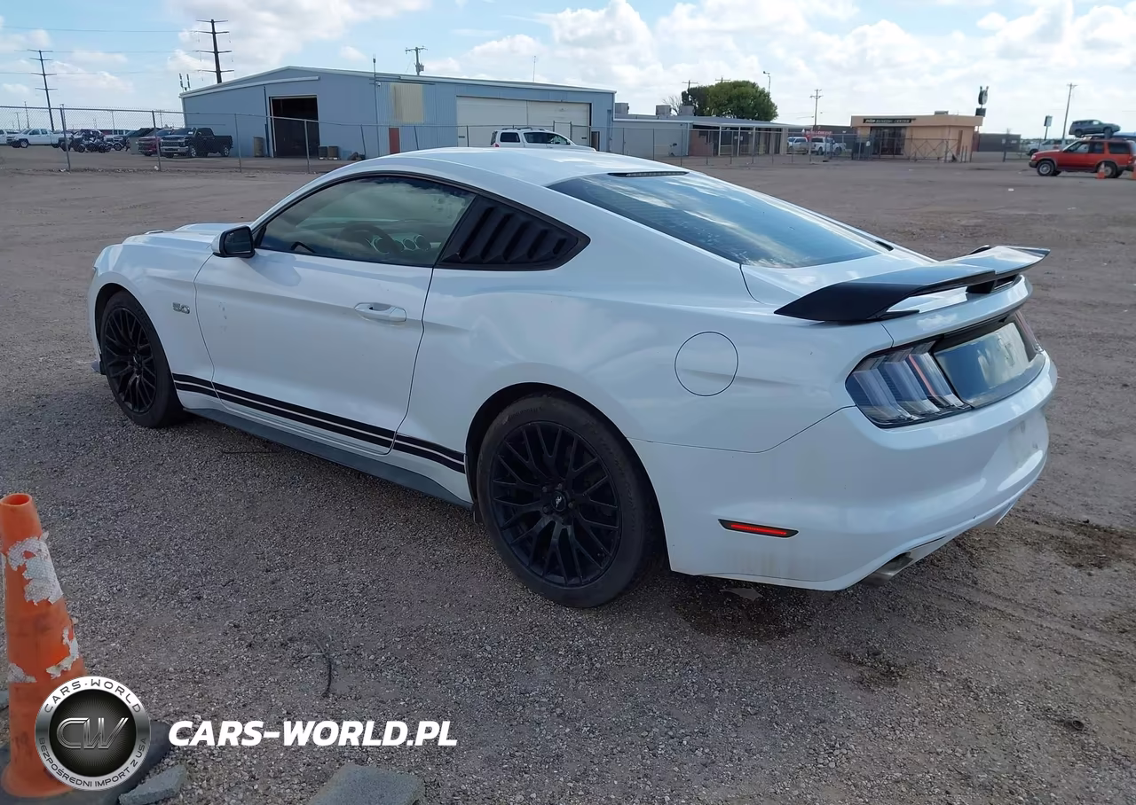 2016 Ford Mustang Gt VIN:1FA6P8CF0G5260356 - 3