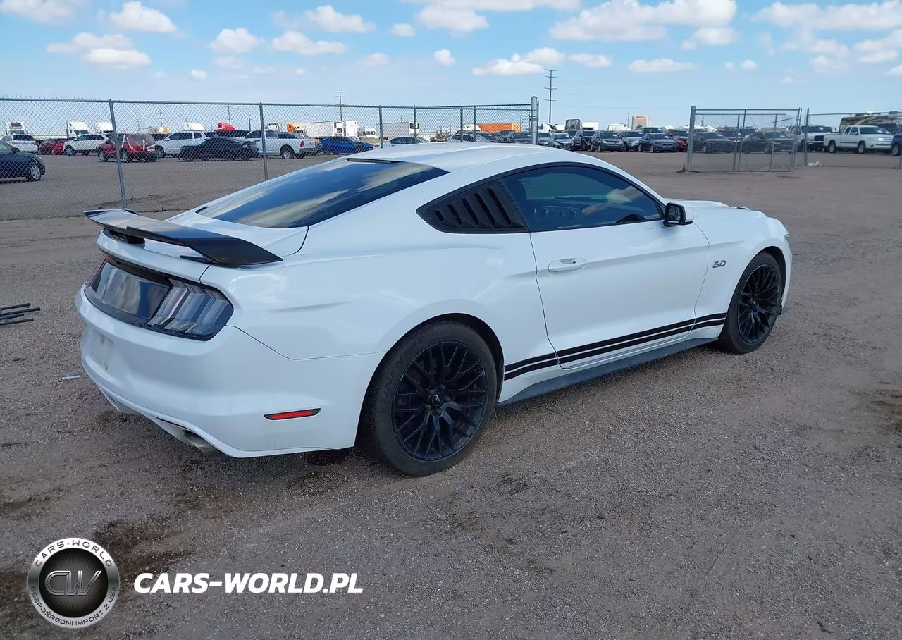 2016 Ford Mustang Gt VIN:1FA6P8CF0G5260356 - 4