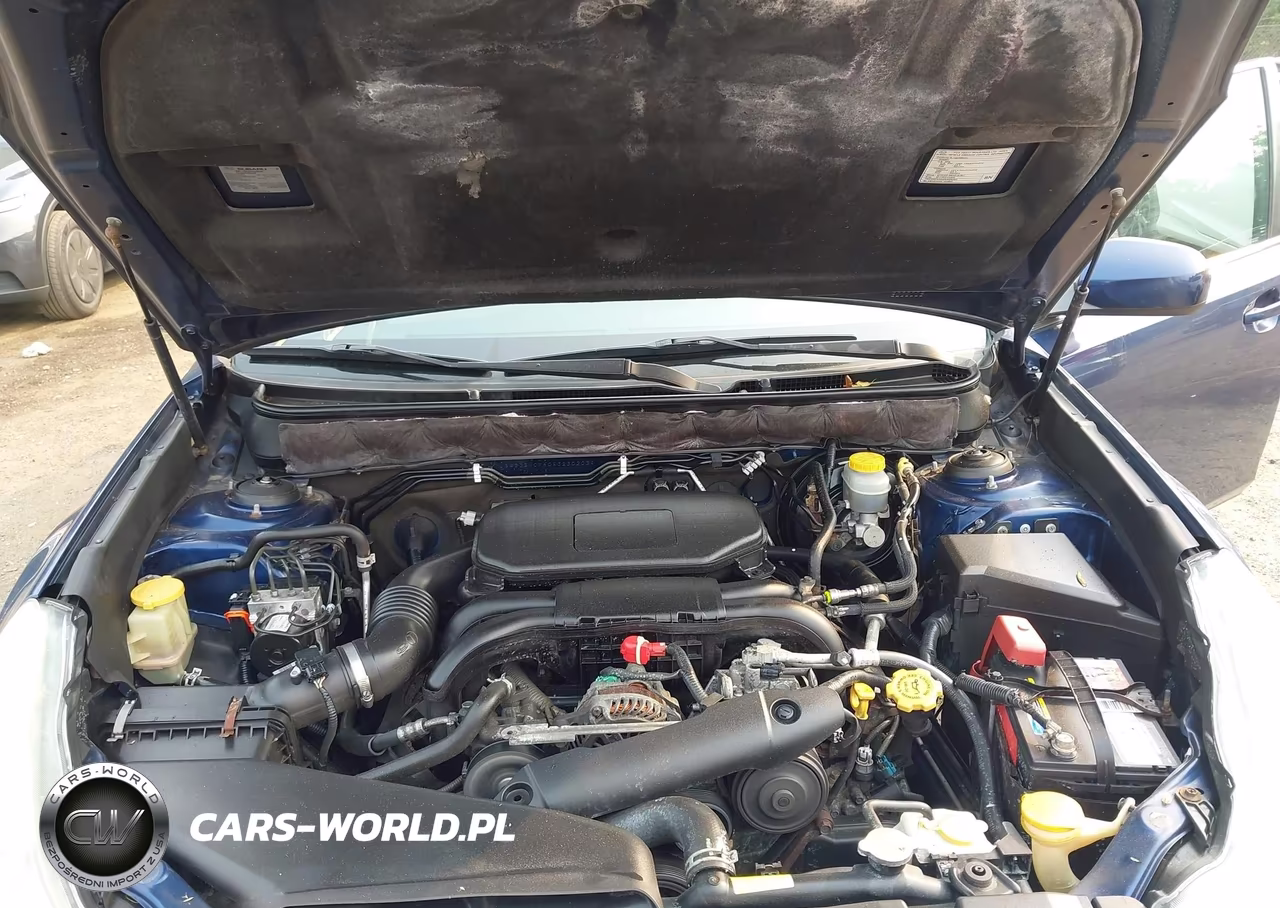 2010 Subaru Legacy 2.5I Limited VIN:4S3BMCK60A3230203 - 10