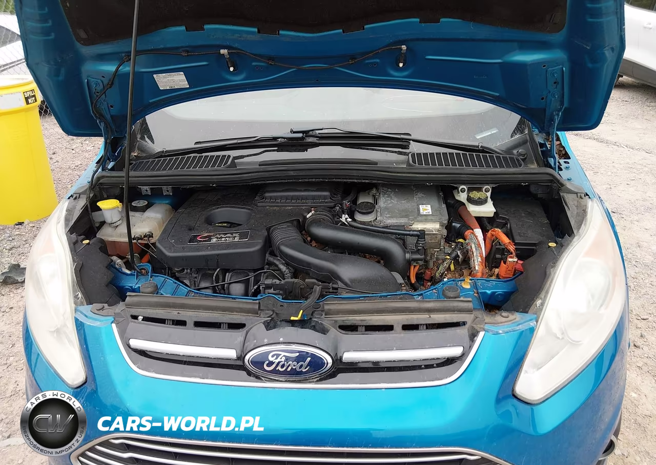 2013 Ford C-Max Energi Sel VIN:1FADP5CU2DL529405 - 10