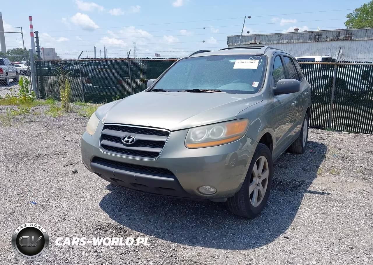 2009 Hyundai Santa Fe Se VIN:5NMSH73E29H270149 - 6