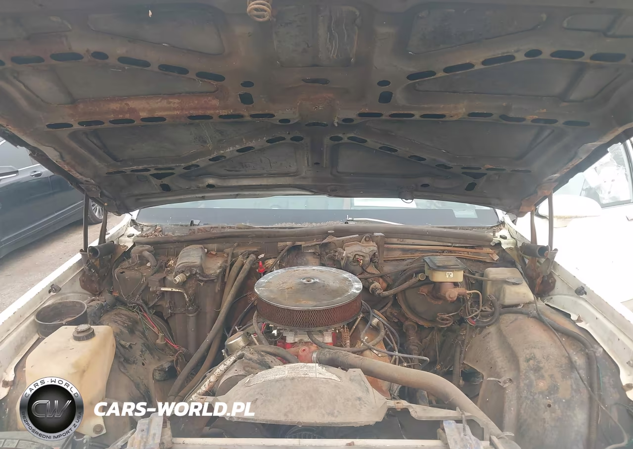 1987 Chevrolet Caprice VIN:1G1BL51H4HA177022 - 10