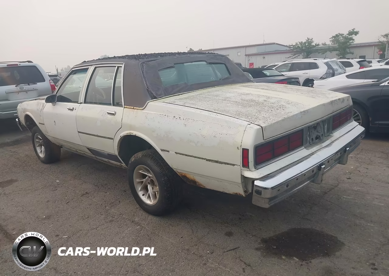 1987 Chevrolet Caprice VIN:1G1BL51H4HA177022 - 3