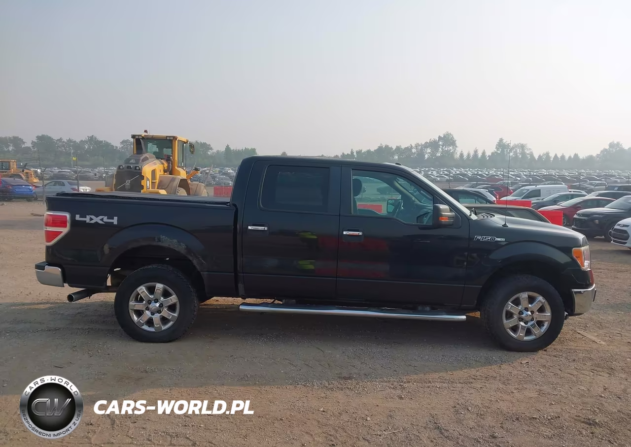 2013 Ford F-150 Xlt VIN:1FTFW1EF0DFA52355 - 13