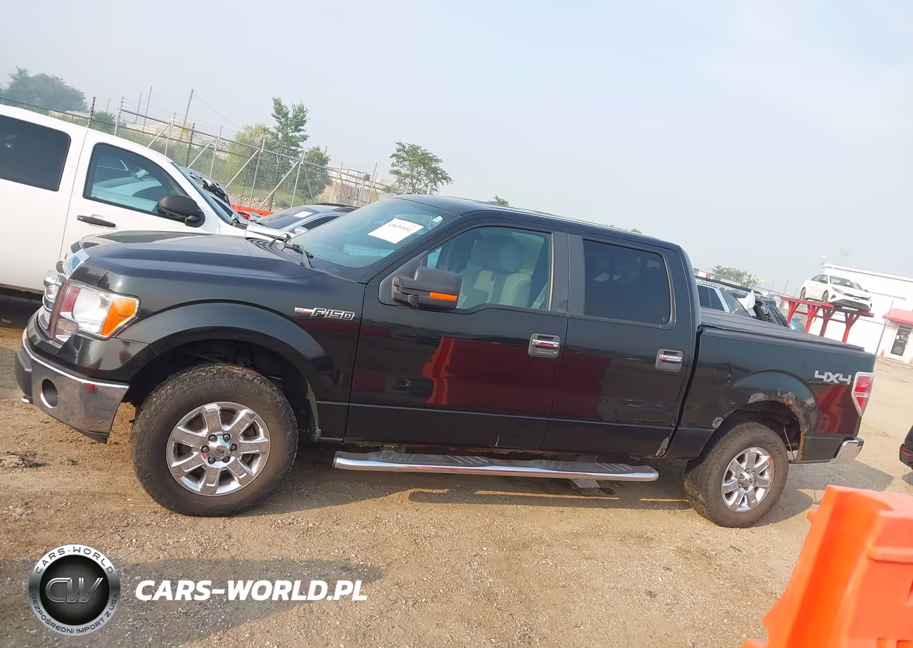 2013 Ford F-150 Xlt VIN:1FTFW1EF0DFA52355 - 14
