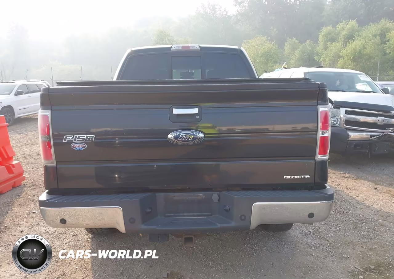 2013 Ford F-150 Xlt VIN:1FTFW1EF0DFA52355 - 16