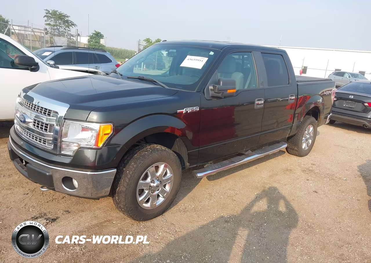 2013 Ford F-150 Xlt VIN:1FTFW1EF0DFA52355 - 2