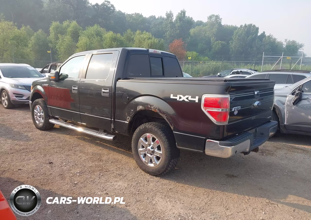 2013 Ford F-150 Xlt VIN:1FTFW1EF0DFA52355 - 3