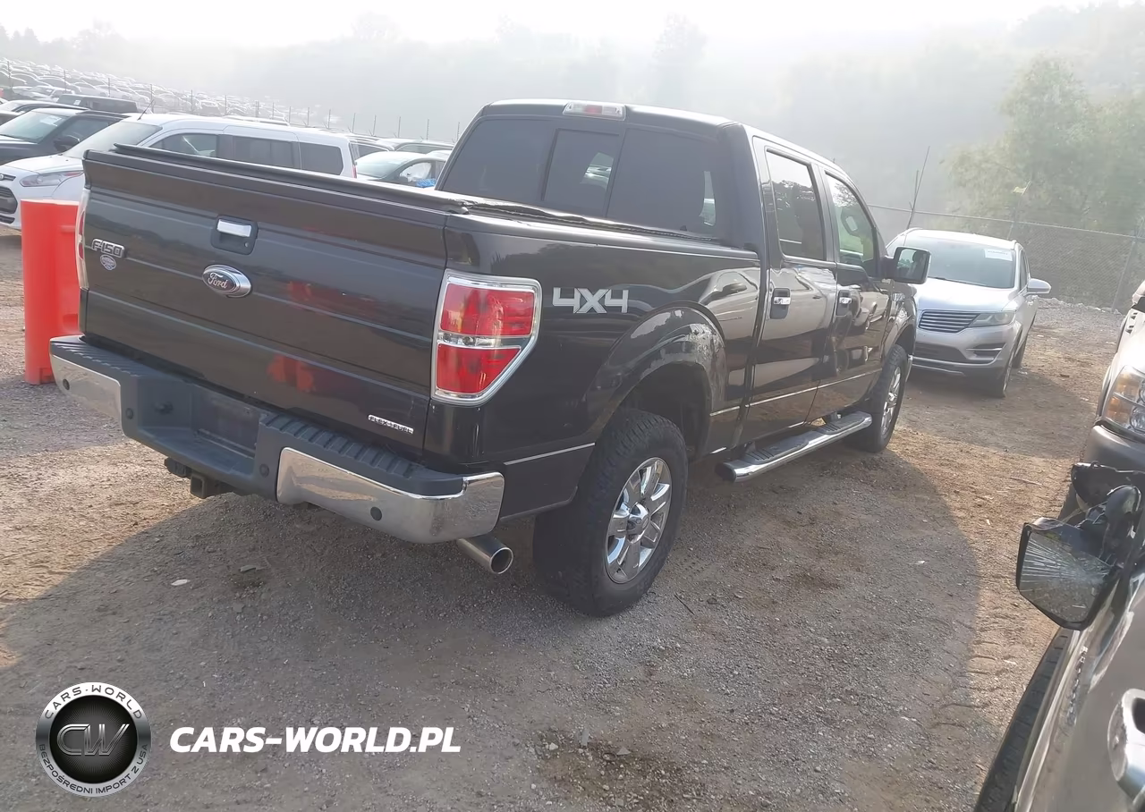 2013 Ford F-150 Xlt VIN:1FTFW1EF0DFA52355 - 4