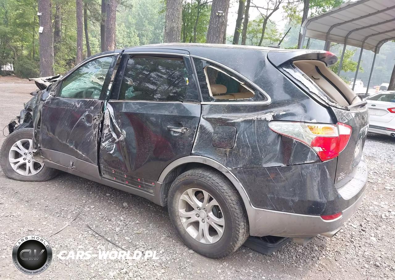 2008 Hyundai Veracruz Gls-Limited-Se VIN:KM8NU13C58U034845 - 3