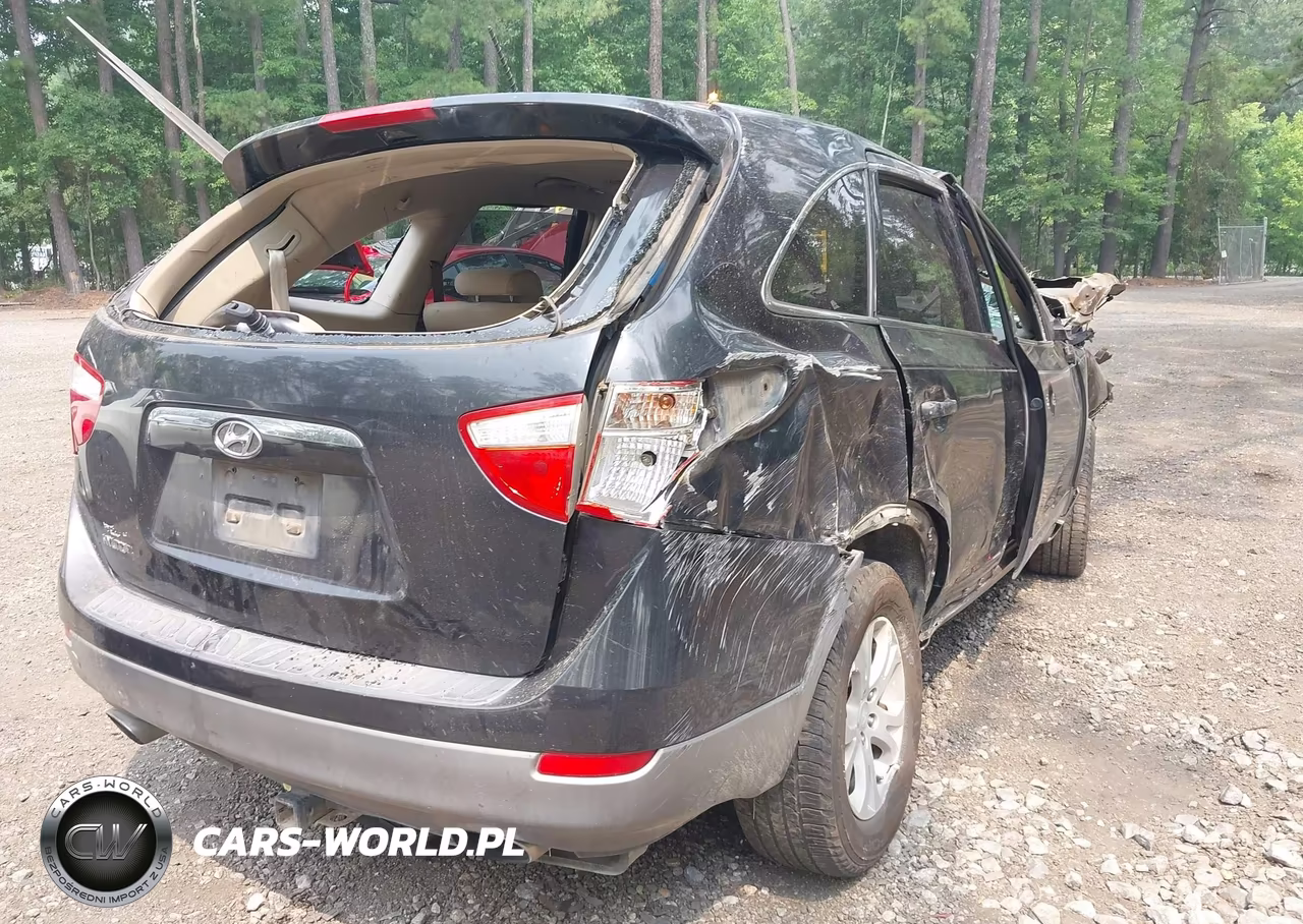 2008 Hyundai Veracruz Gls-Limited-Se VIN:KM8NU13C58U034845 - 4