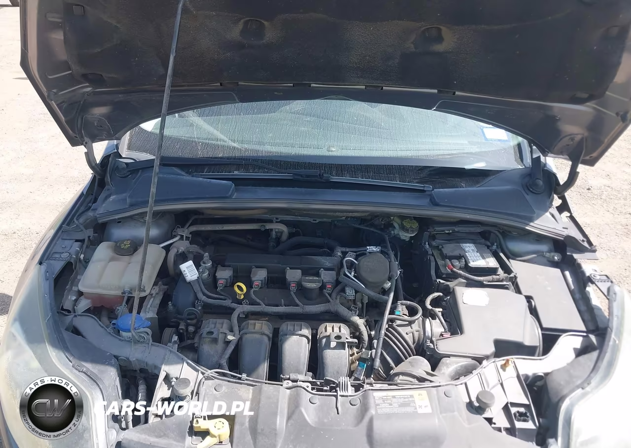 2014 Ford Focus Titanium VIN:1FADP3J25EL195880 - 10