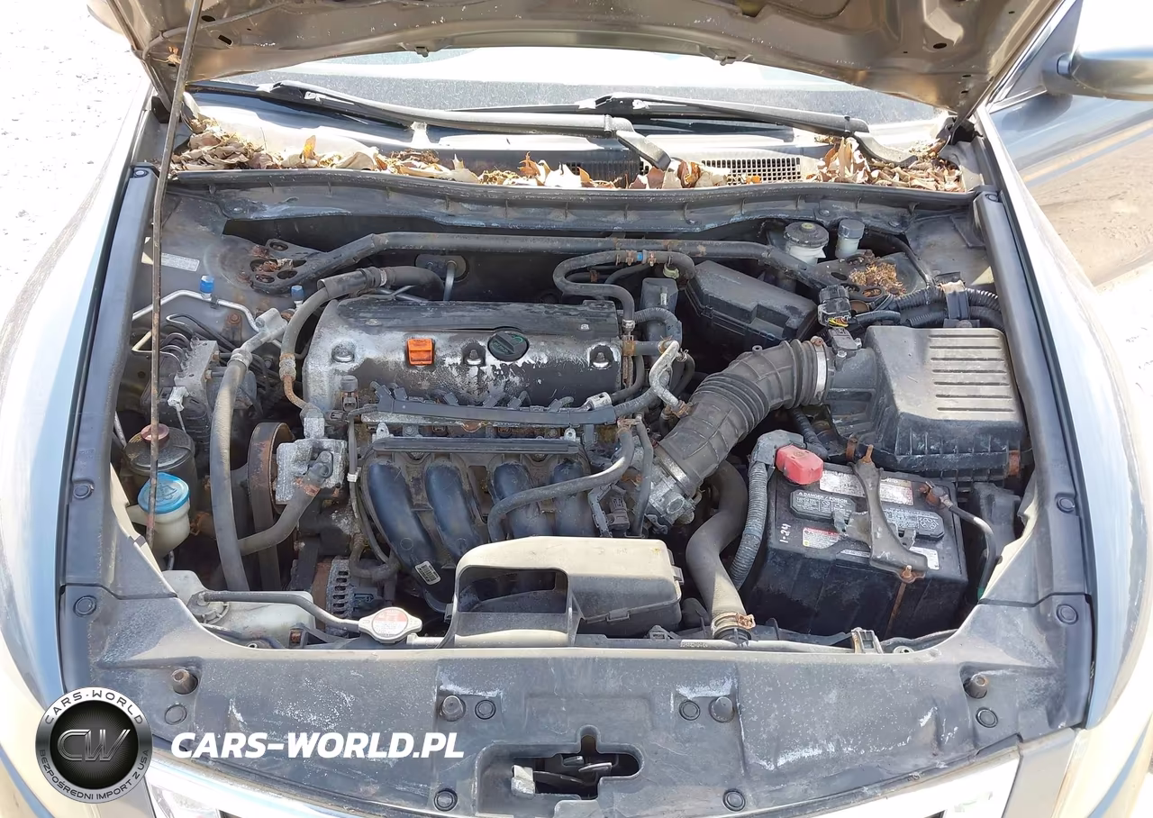 2010 Honda Accord 2.4 Ex VIN:1HGCP2E75AA086977 - 10