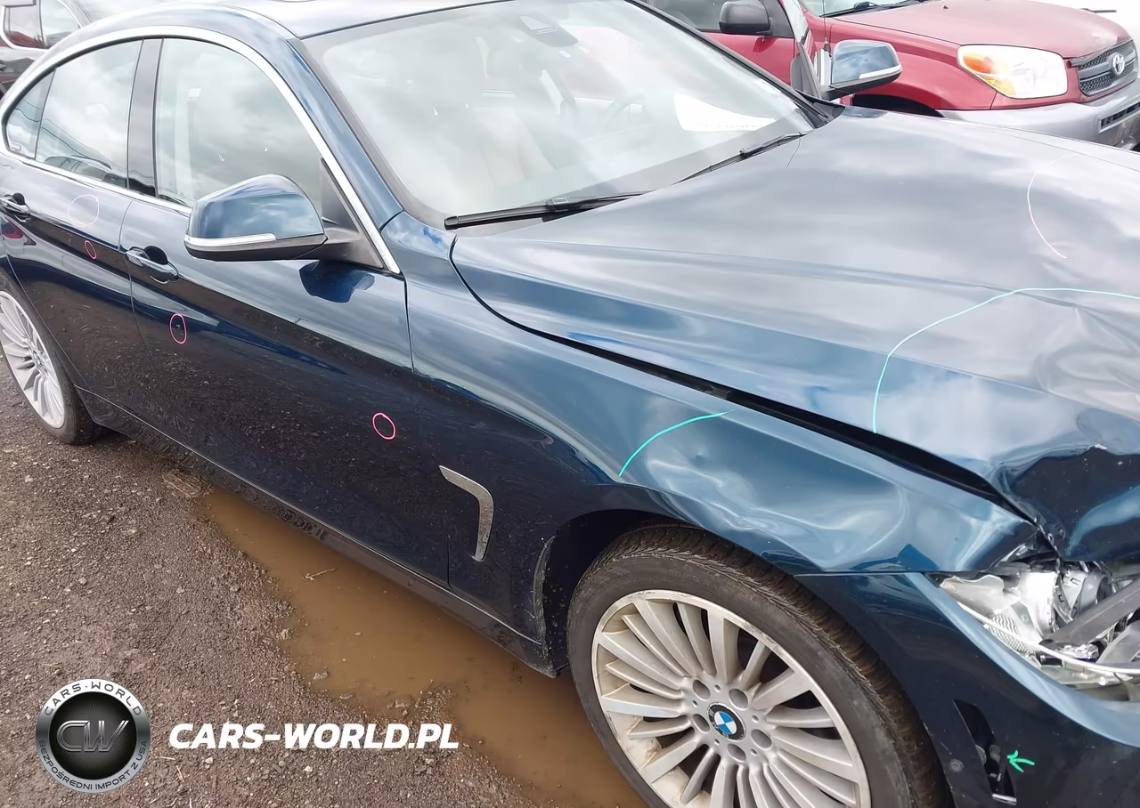 2015 BMW 428 Gran Coupe xDrive VIN:WBA4C9C50FG135299 - 17