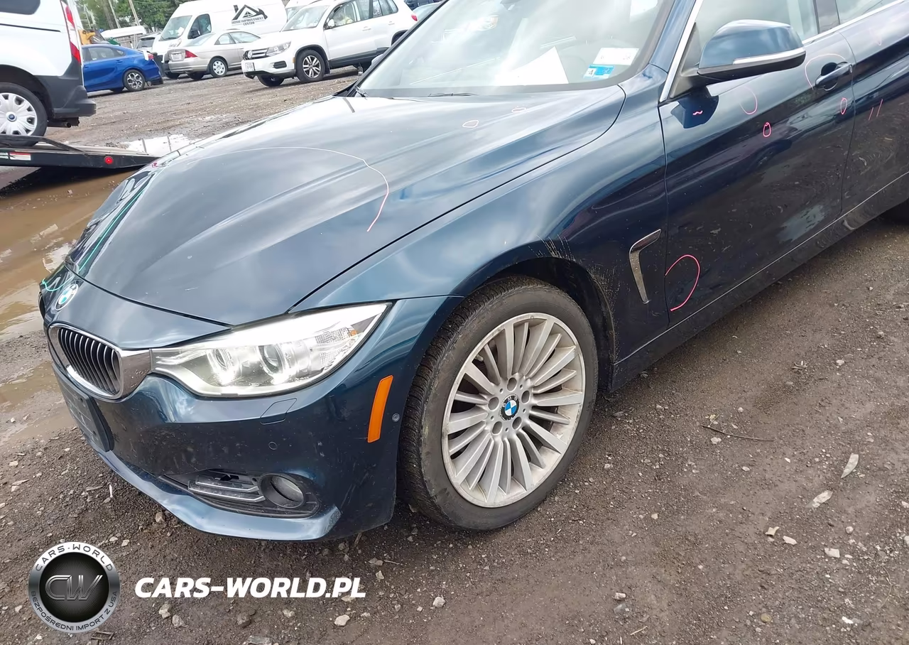 2015 BMW 428 Gran Coupe xDrive VIN:WBA4C9C50FG135299 - 18