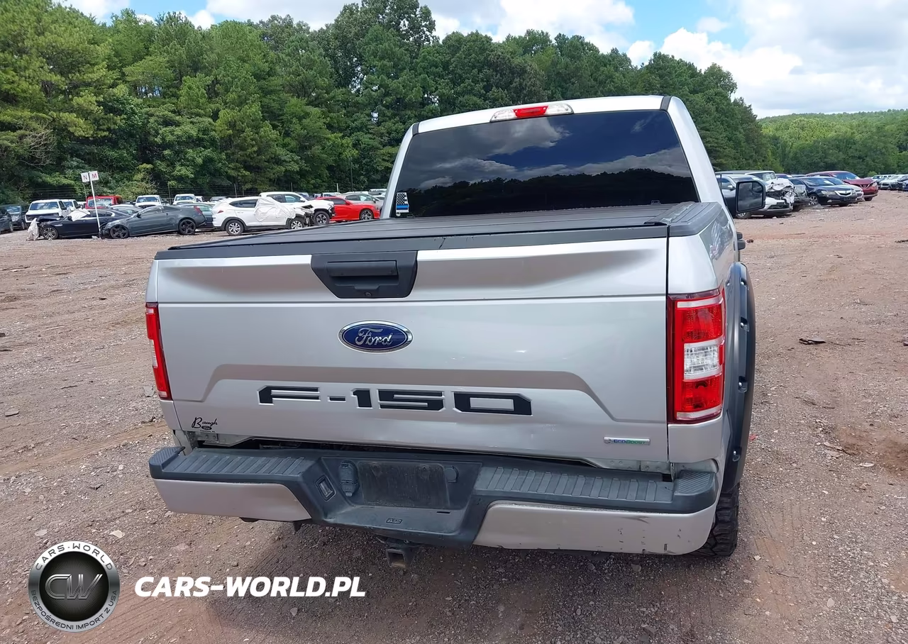 2019 Ford F-150 Xl VIN:1FTEW1CP9KFD49161 - 16