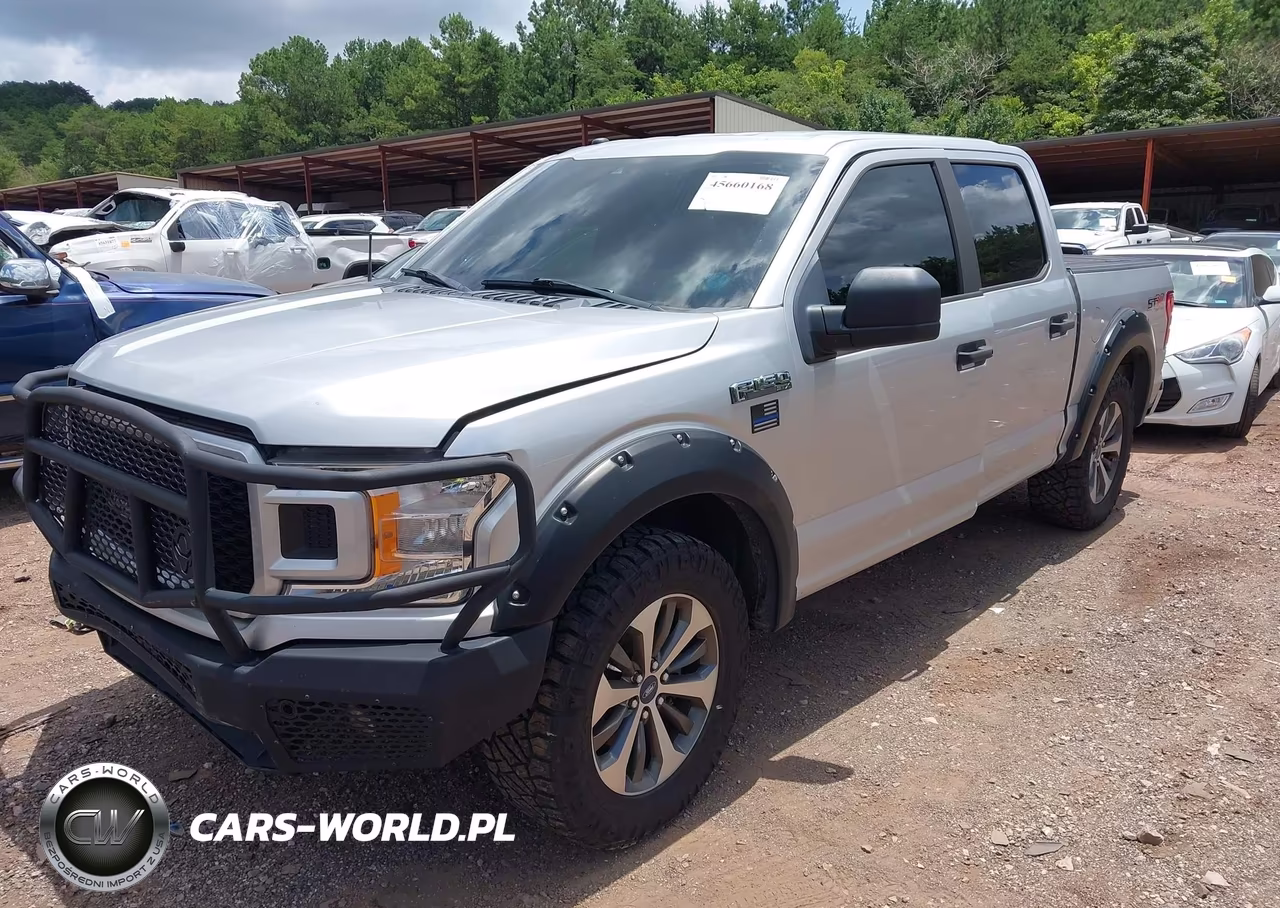 2019 Ford F-150 Xl VIN:1FTEW1CP9KFD49161 - 2
