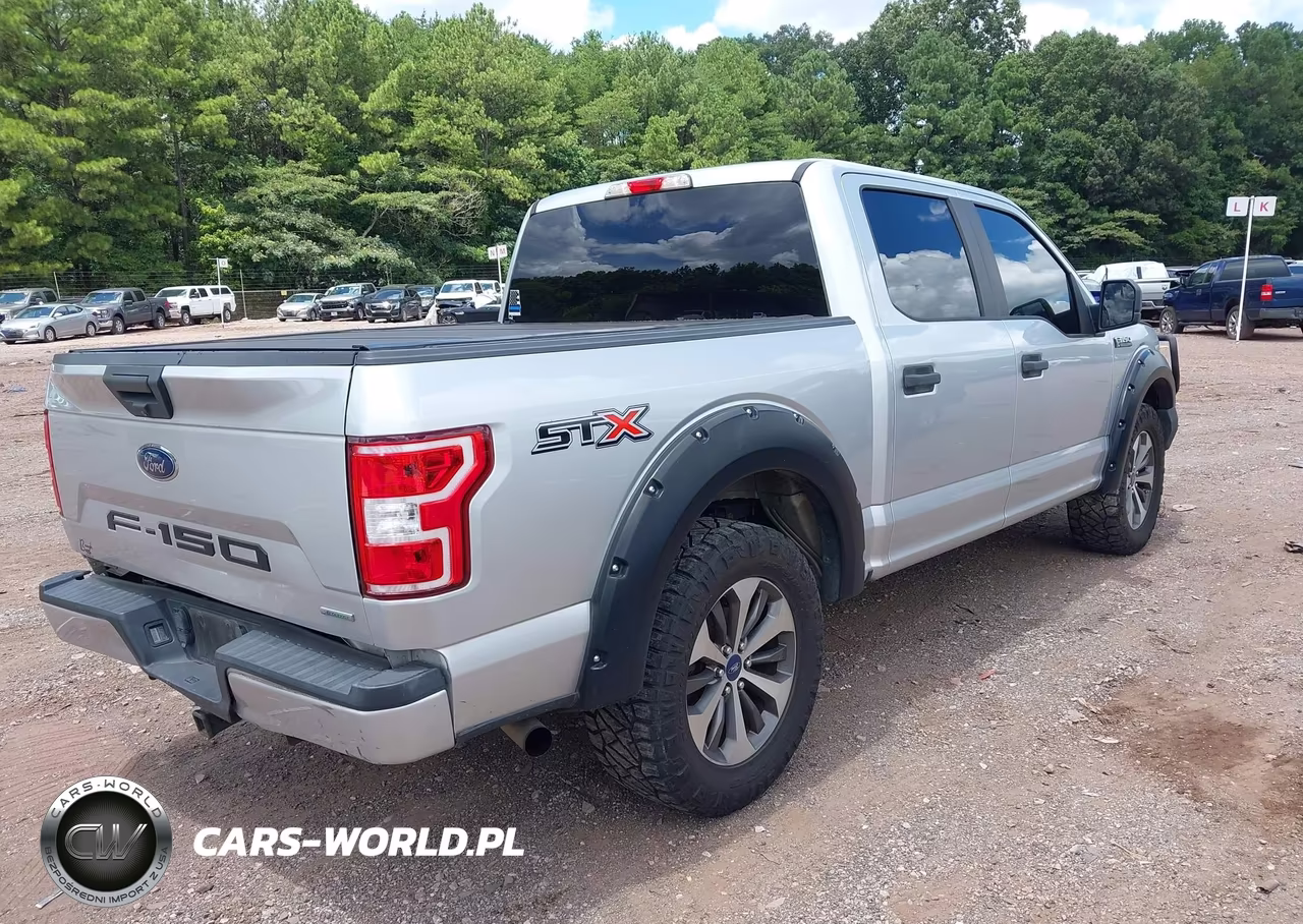 2019 Ford F-150 Xl VIN:1FTEW1CP9KFD49161 - 4