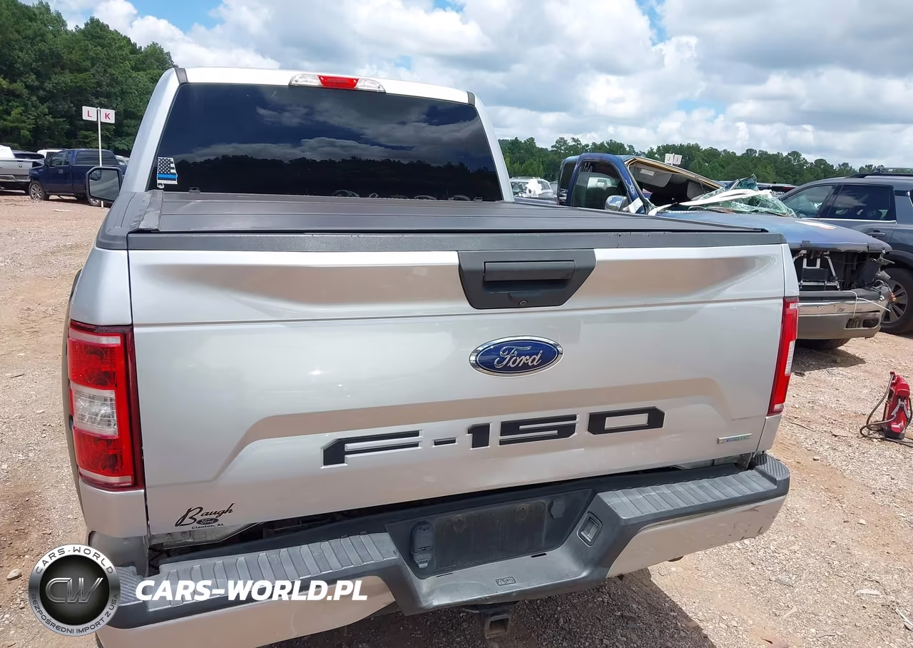 2019 Ford F-150 Xl VIN:1FTEW1CP9KFD49161 - 6