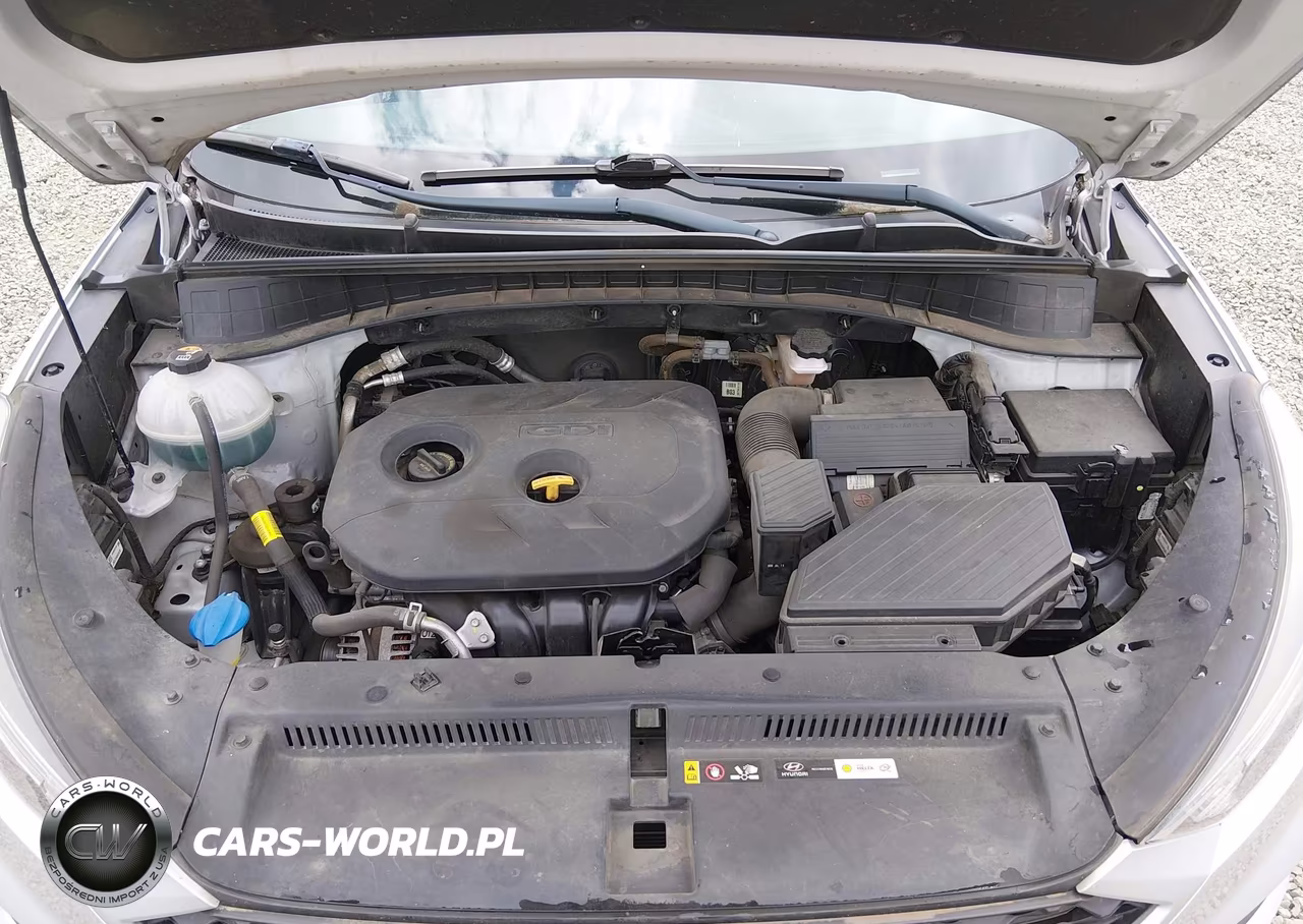 2019 Hyundai Tucson Se VIN:KM8J2CA43KU998380 - 10