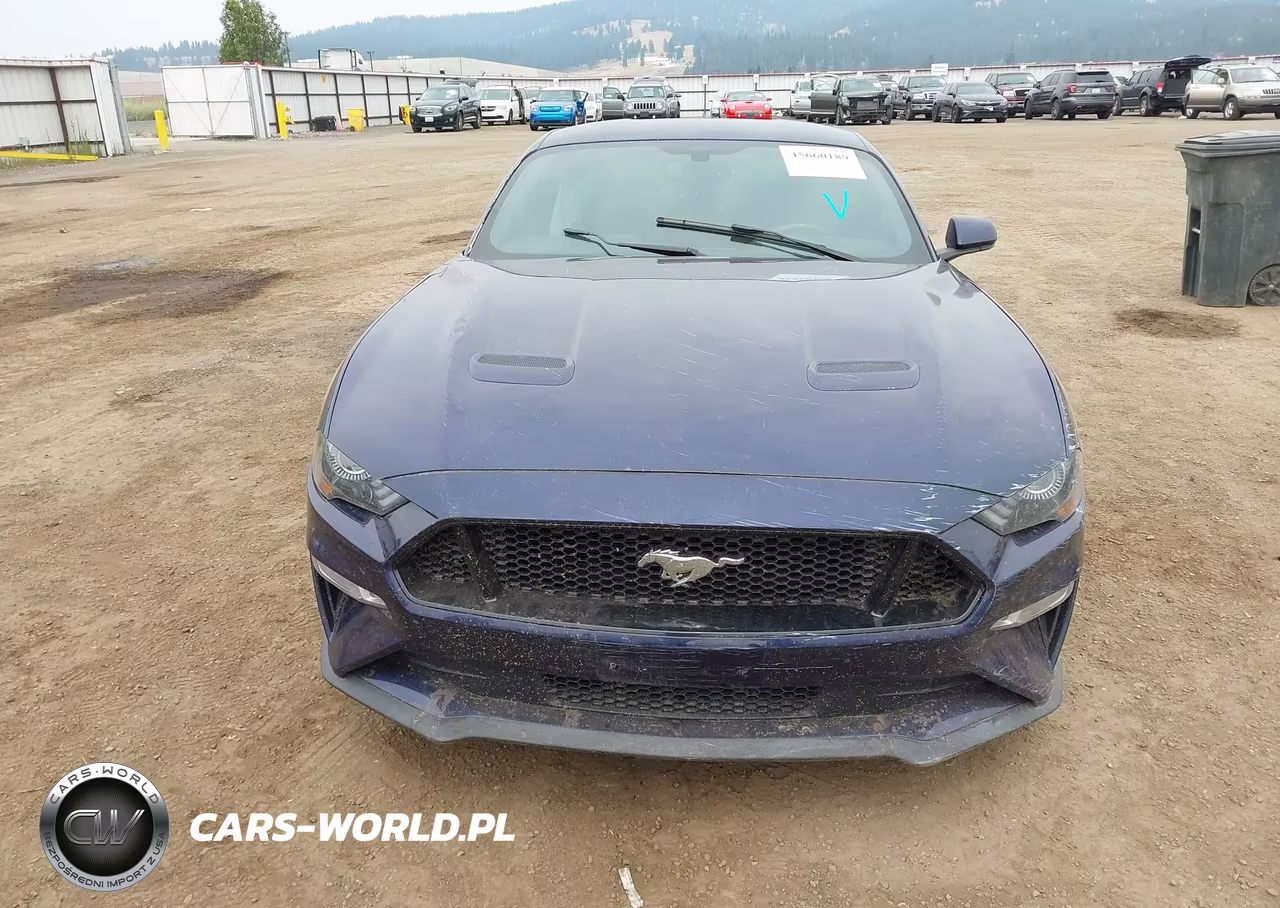 2020 Ford Mustang Gt Fastback VIN:1FA6P8CF0L5155035 - 12