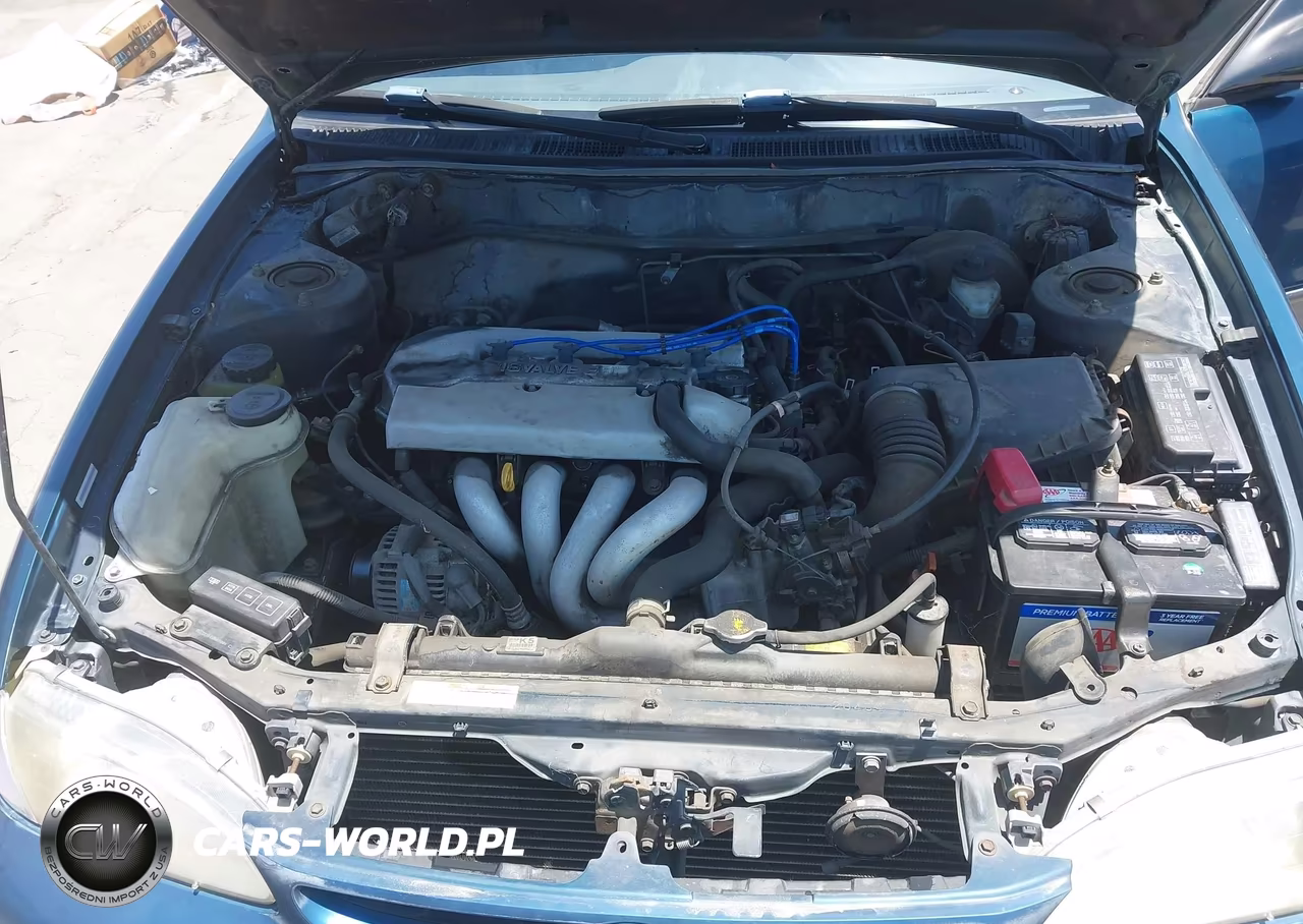 1998 Toyota Corolla Ce VIN:1NXBR12E8WZ082652 - 10