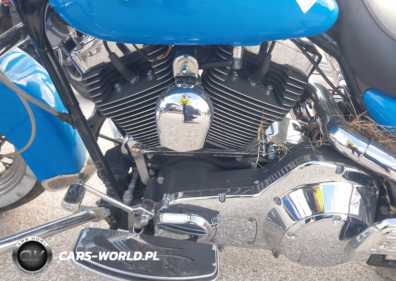 2005 Harley-Davidson Flhrci VIN:1HD1FRW145Y631879 - 9
