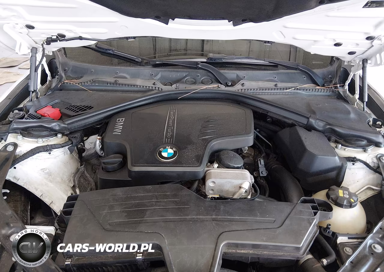 2015 BMW 428I VIN:WBA3V5C55F5A79230 - 10