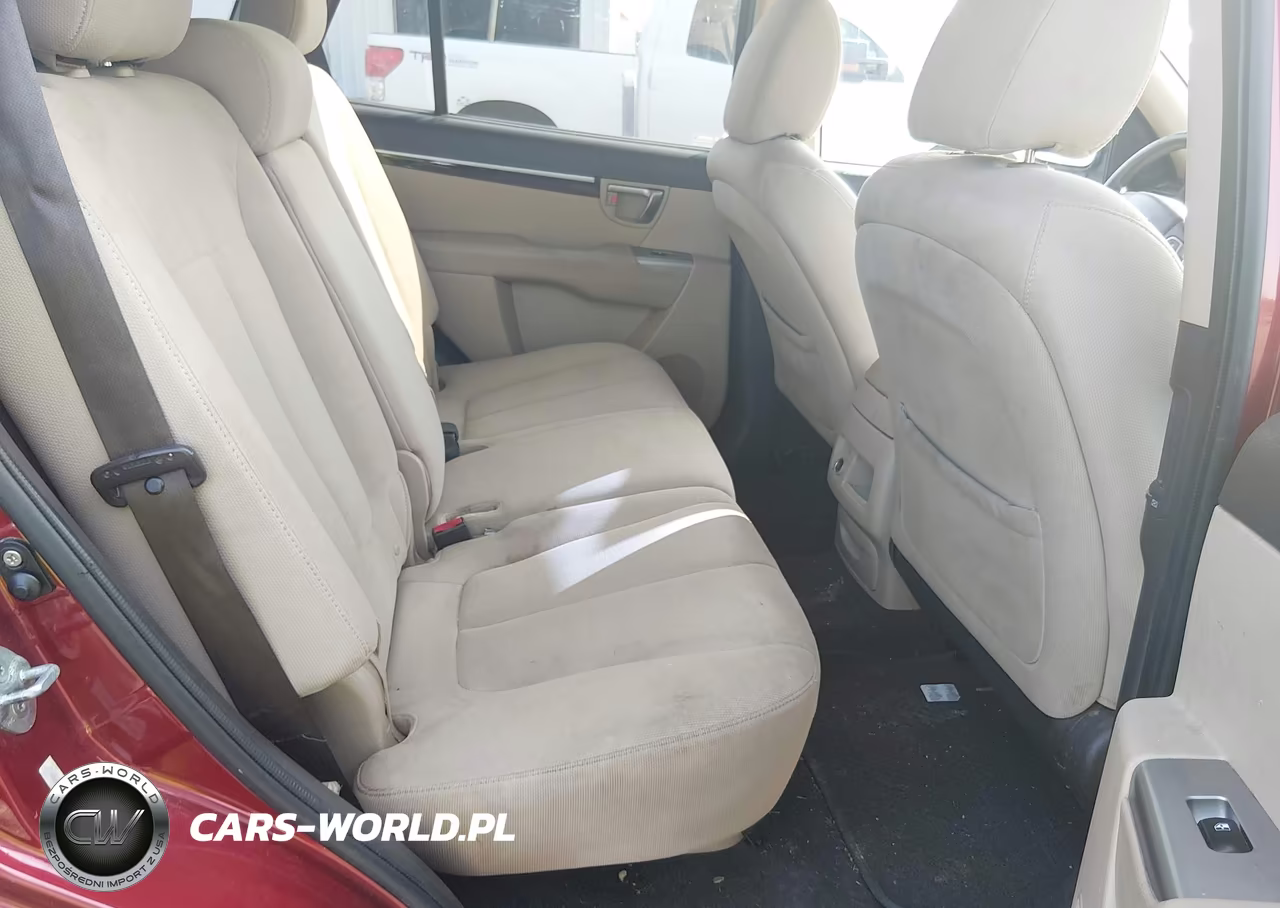 2010 Hyundai Santa Fe Gls VIN:5NMSGDAB1AH404261 - 8