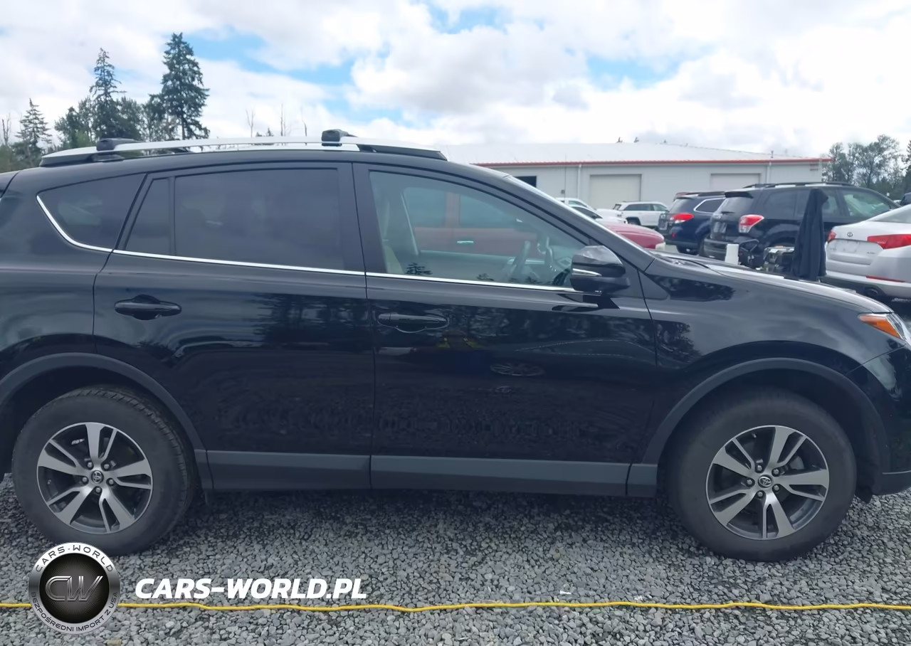 2016 Toyota Rav4 Xle VIN:2T3RFREV8GW487646 - 14