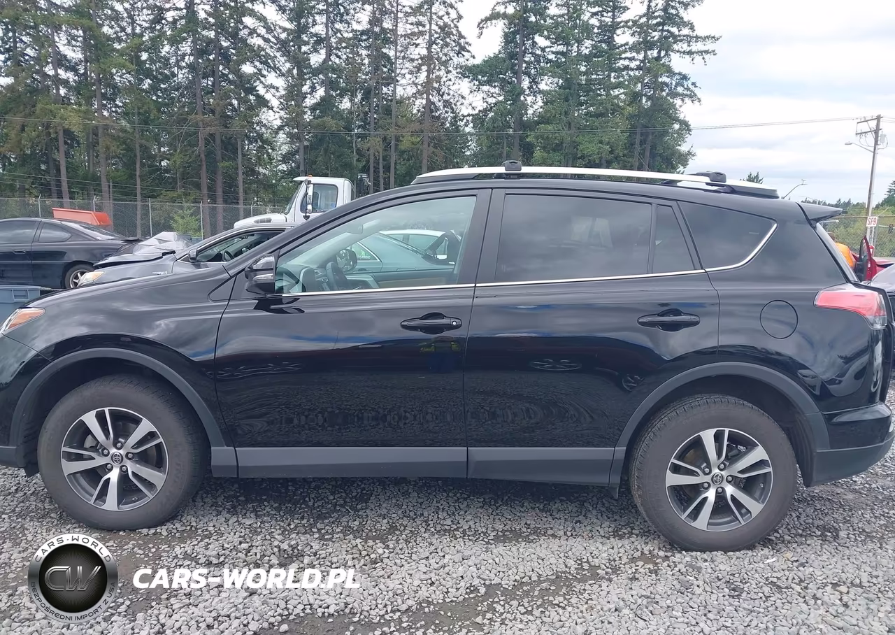2016 Toyota Rav4 Xle VIN:2T3RFREV8GW487646 - 15