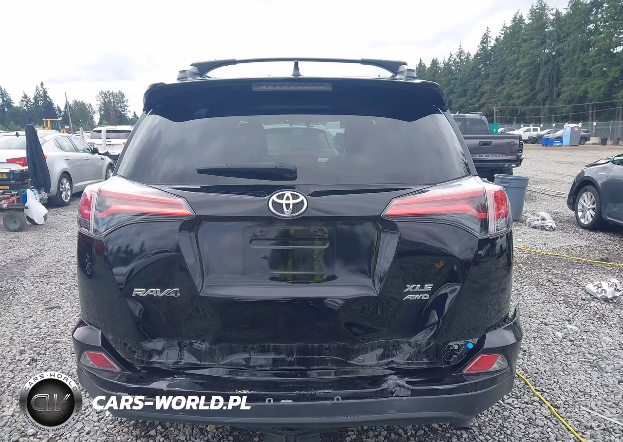 2016 Toyota Rav4 Xle VIN:2T3RFREV8GW487646 - 17