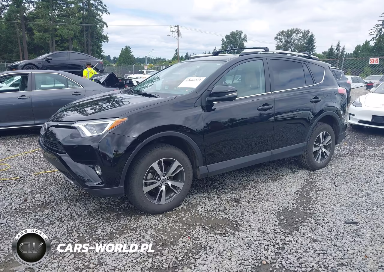 2016 Toyota Rav4 Xle VIN:2T3RFREV8GW487646 - 2