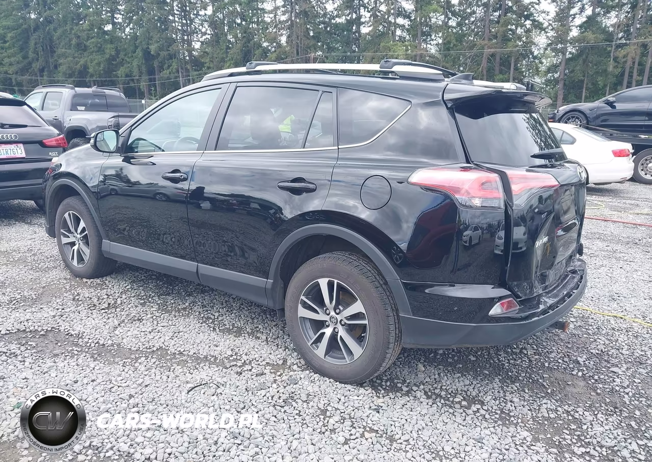 2016 Toyota Rav4 Xle VIN:2T3RFREV8GW487646 - 3