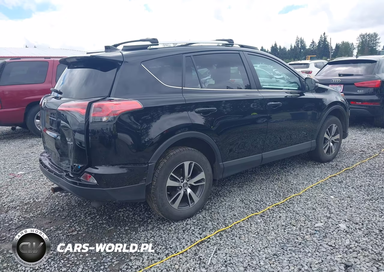 2016 Toyota Rav4 Xle VIN:2T3RFREV8GW487646 - 4