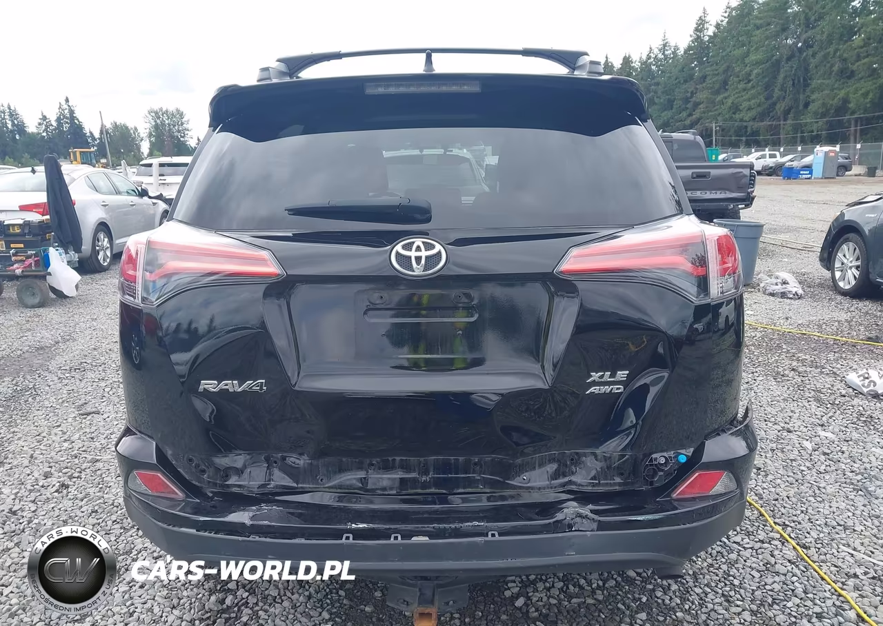 2016 Toyota Rav4 Xle VIN:2T3RFREV8GW487646 - 6