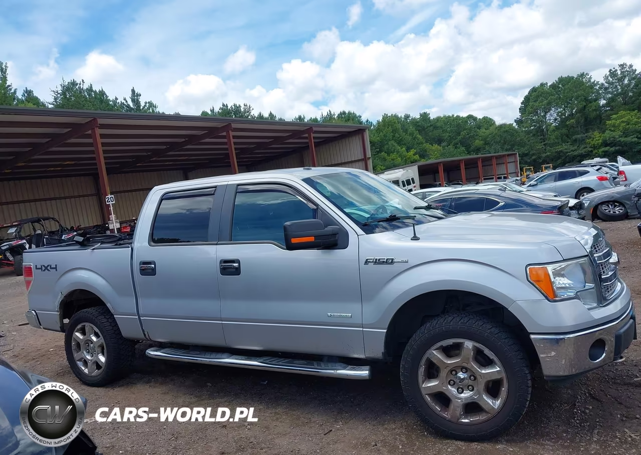2013 Ford F-150 Xlt VIN:1FTFW1ET1DKF41165 - 14