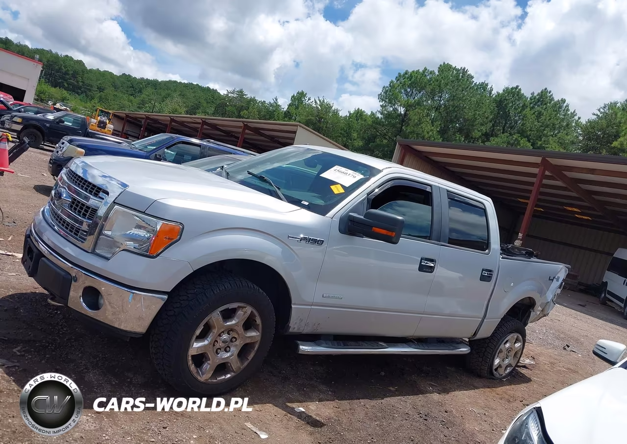 2013 Ford F-150 Xlt VIN:1FTFW1ET1DKF41165 - 15