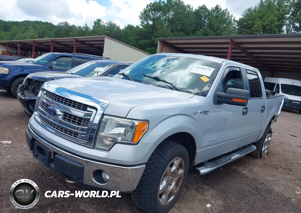 2013 Ford F-150 Xlt VIN:1FTFW1ET1DKF41165 - 2