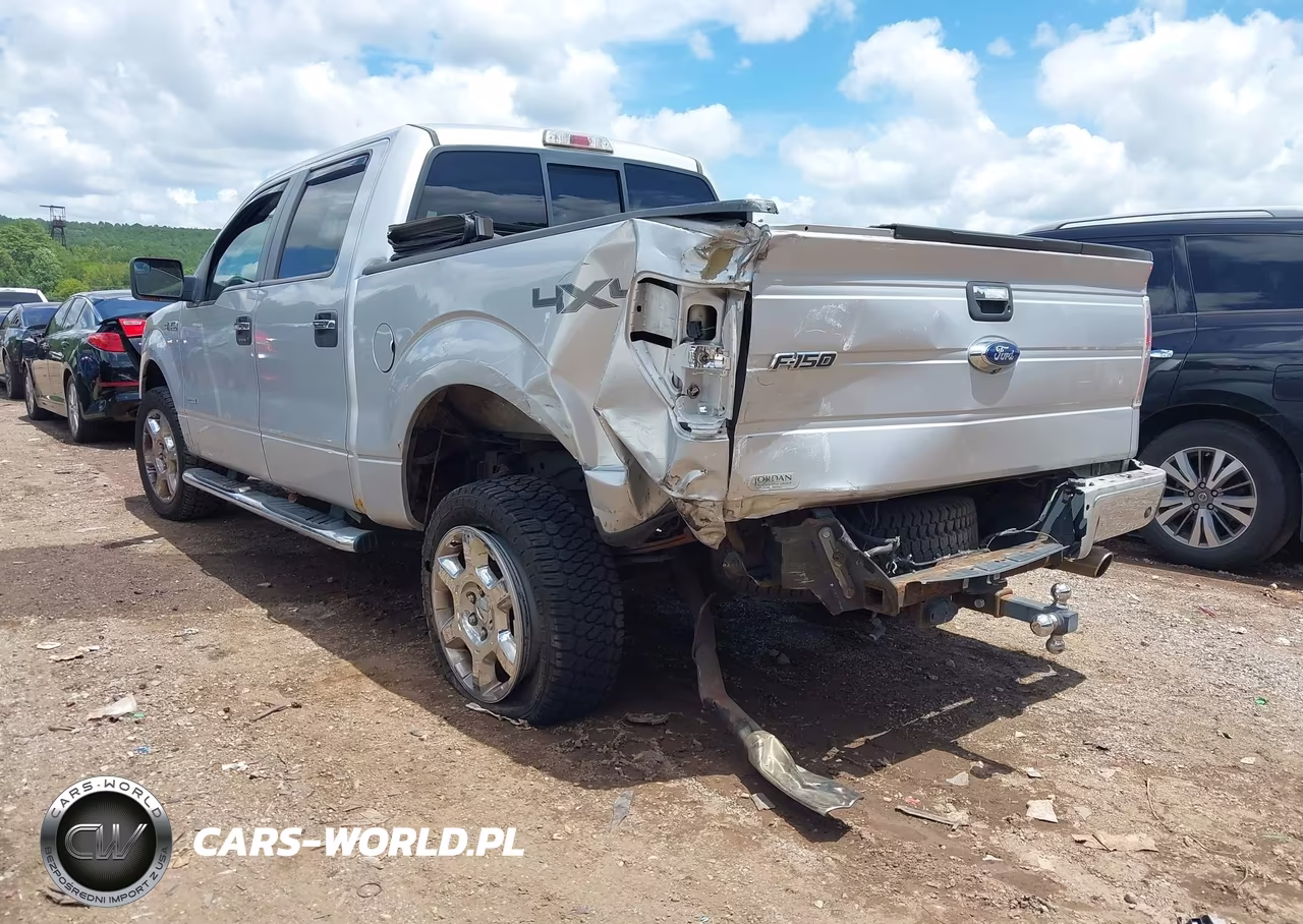 2013 Ford F-150 Xlt VIN:1FTFW1ET1DKF41165 - 3