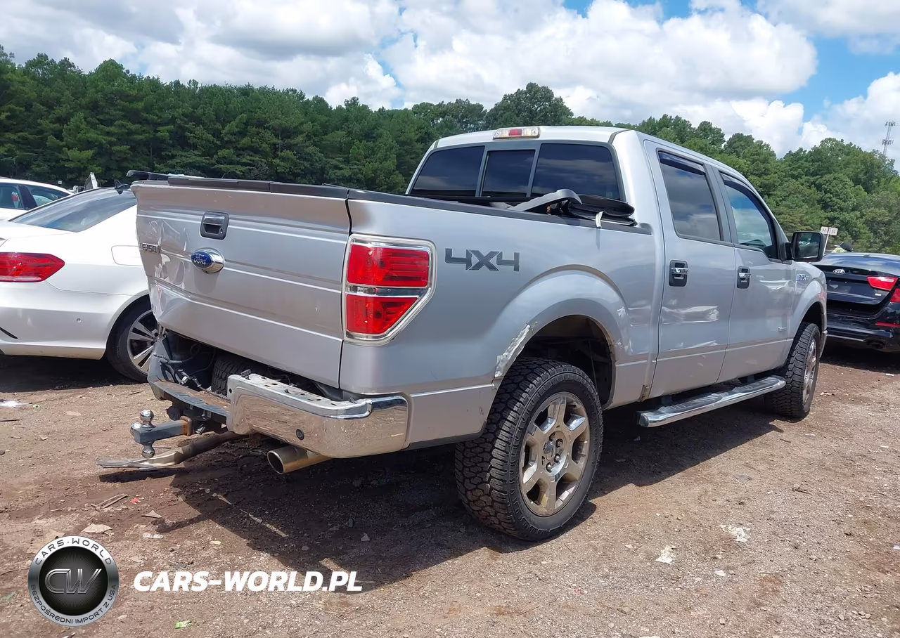 2013 Ford F-150 Xlt VIN:1FTFW1ET1DKF41165 - 4