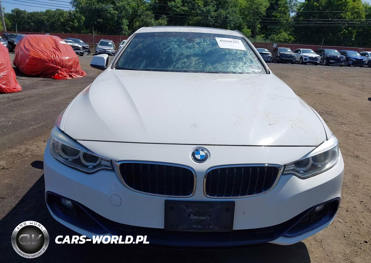 2016 BMW 428I Gran Coupe xDrive VIN:WBA4C9C50GG135966 - 12