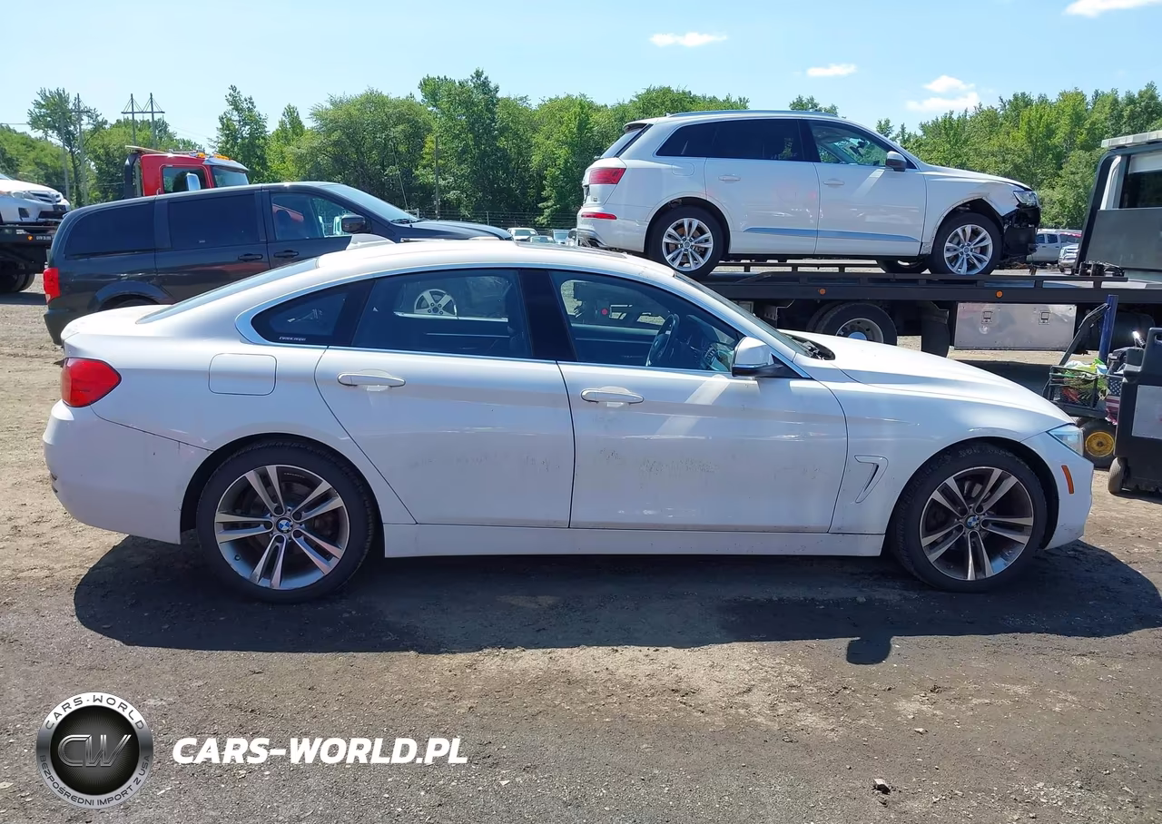 2016 BMW 428I Gran Coupe xDrive VIN:WBA4C9C50GG135966 - 13