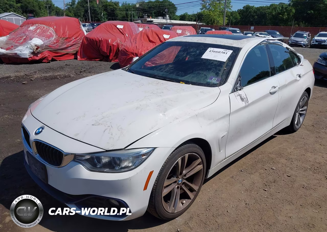 2016 BMW 428I Gran Coupe xDrive VIN:WBA4C9C50GG135966 - 17