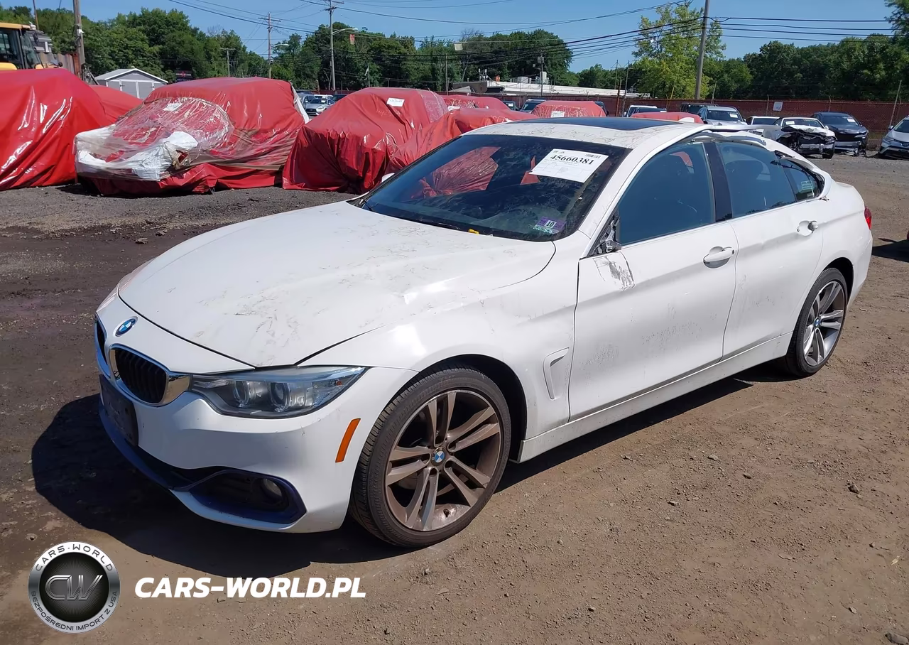 2016 BMW 428I Gran Coupe xDrive VIN:WBA4C9C50GG135966 - 2