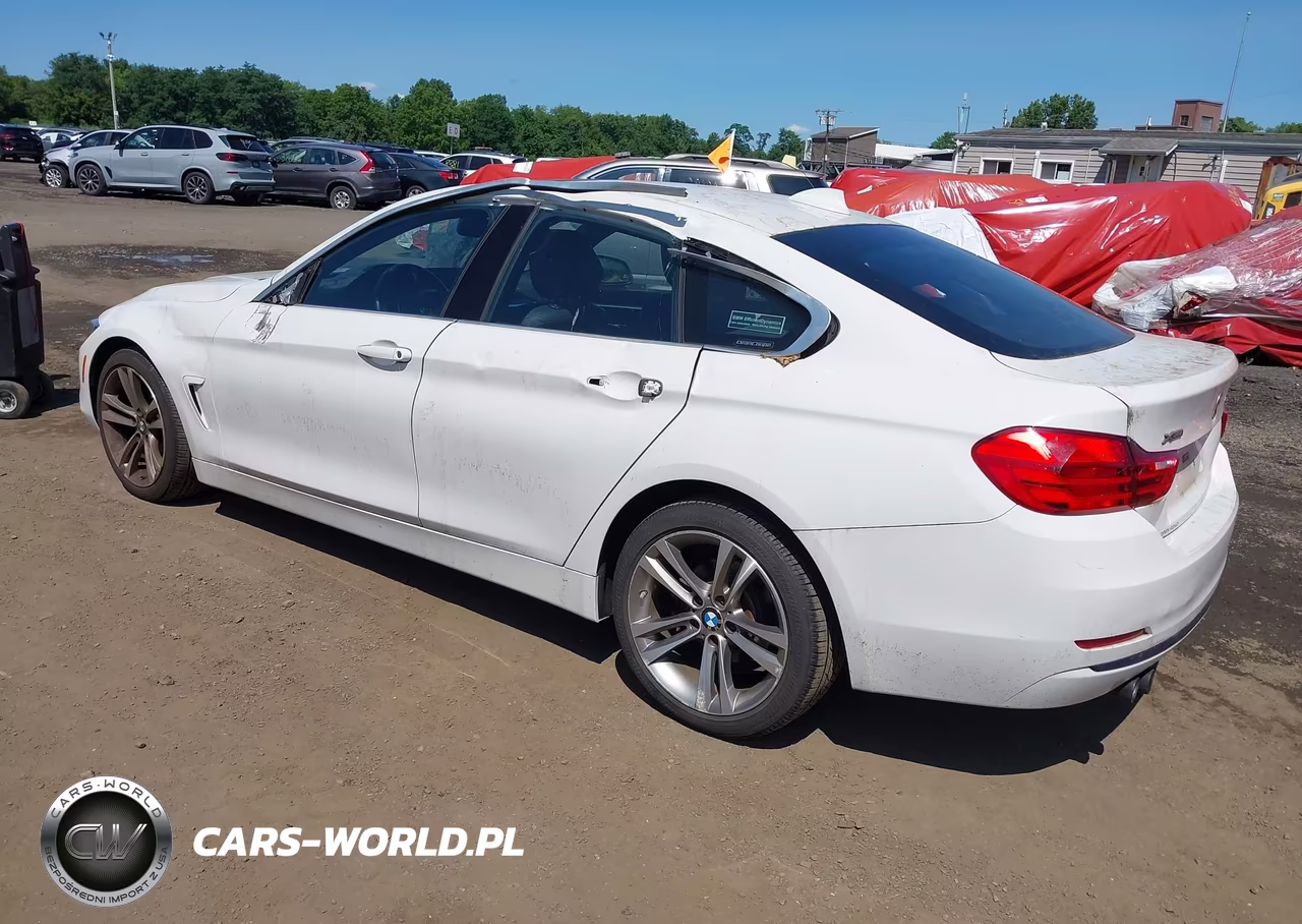 2016 BMW 428I Gran Coupe xDrive VIN:WBA4C9C50GG135966 - 3