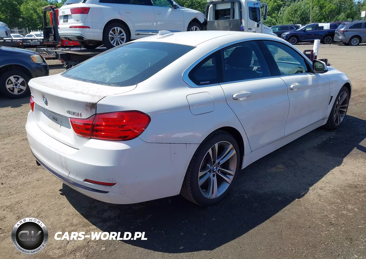 2016 BMW 428I Gran Coupe xDrive VIN:WBA4C9C50GG135966 - 4